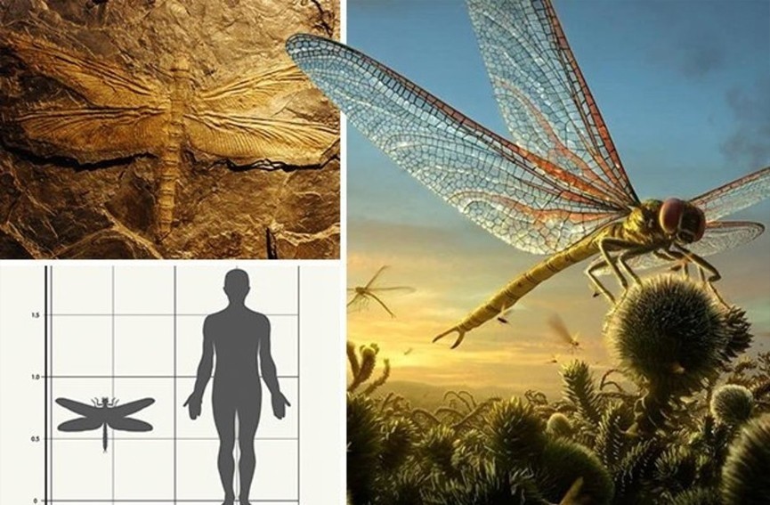 灭绝生物|奇特的灭绝生物：人类或许会庆幸已经灭绝的7个可怕生物