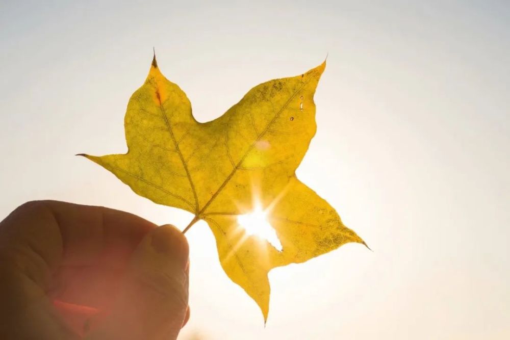 微笑|愿你每天醒来，阳光和幸福都在