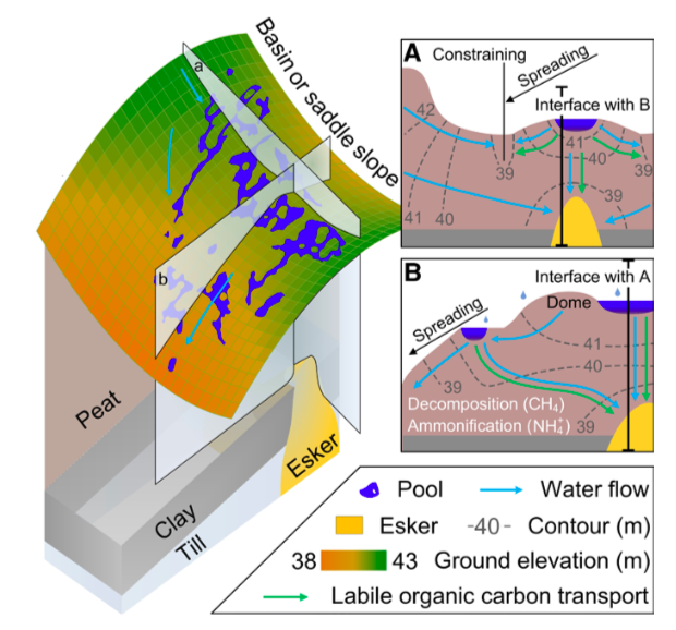 geology|《Geology》2020年第8期论文导读（上）