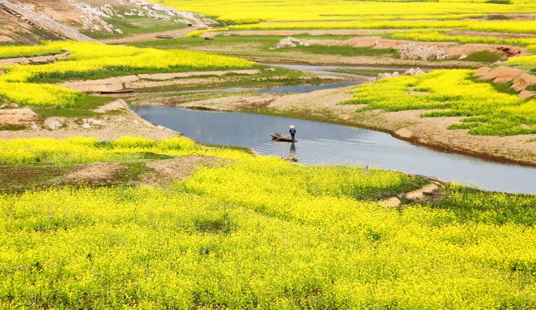 新冠病毒|新冠病毒加速扩散，2000万例仅用44天！再没有这样的觉悟，下场会很惨
