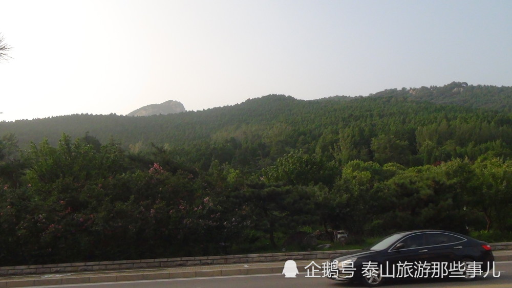 梅園泰安人自家後花園泰山南麓原風景八月的雨後你竟如此清新脫俗