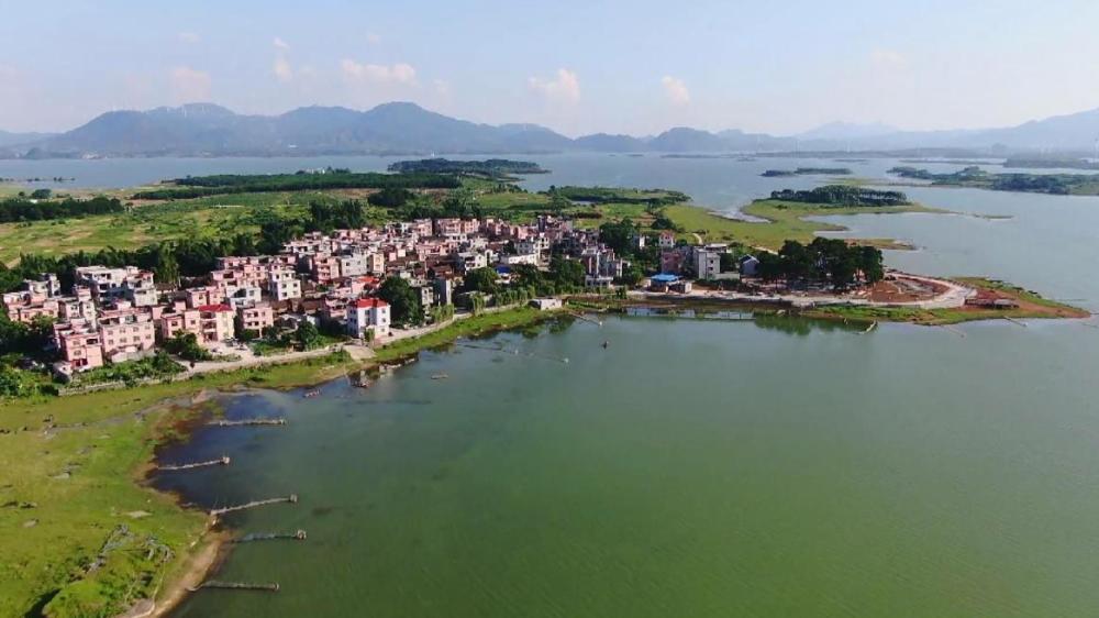 富川瑶族自治县富阳镇茶家村驻村第一书记阮清锋:积极争取500多万的