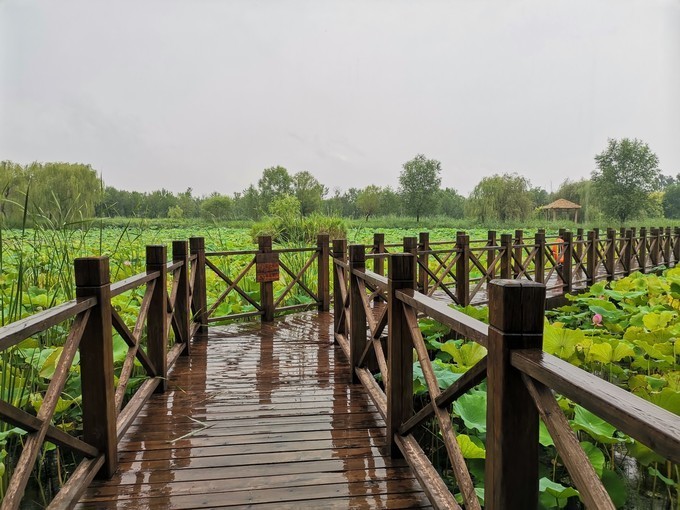 济南西部湿地公园图片图片