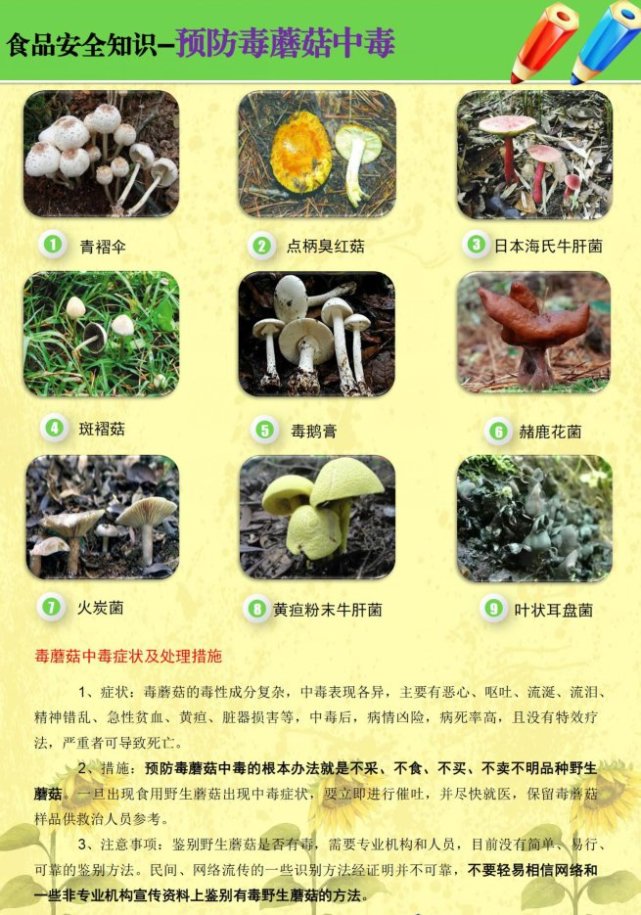 误食野生菌中毒事件时有发生东方市食安办这些提示请记住