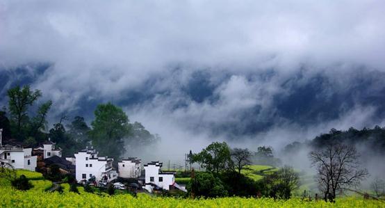 一个"晒"出来的乡村,充满诗情画意|辛夷坞|婺源|油菜花