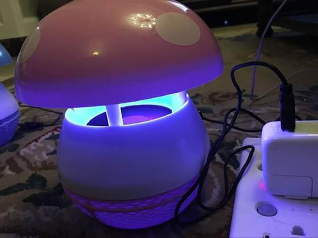 蚊子|蚊子的危害可致命！家有“招蚊宝宝”，试试这些驱蚊方法，很有效