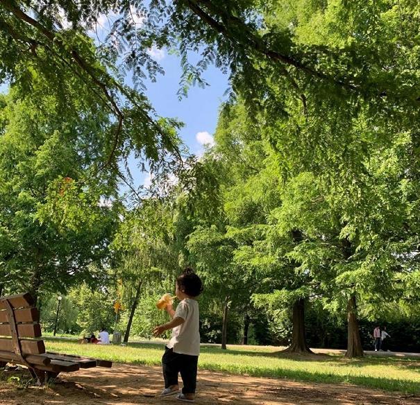 蔡琳|蔡琳带2岁儿子海边戏水，与高梓淇2年未互动，昔日恩爱动态早删光