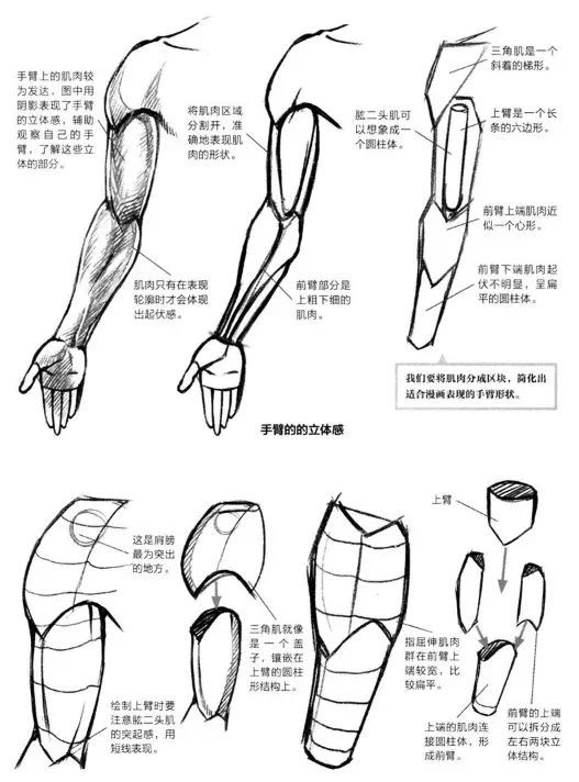 動漫人物手臂的繪畫方法