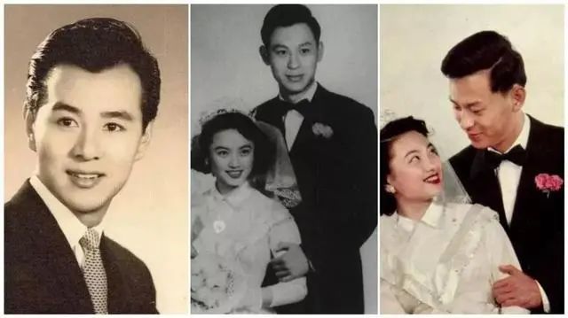 金庸为她痴迷疯狂岑范为她终生未婚石川夏梦值得所有人爱