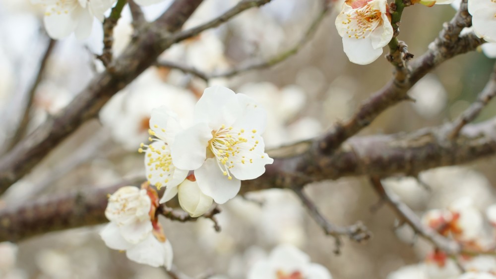 从8月12日开始 运势旺盛 会鸿运当头 春风得意的三大星座 腾讯新闻