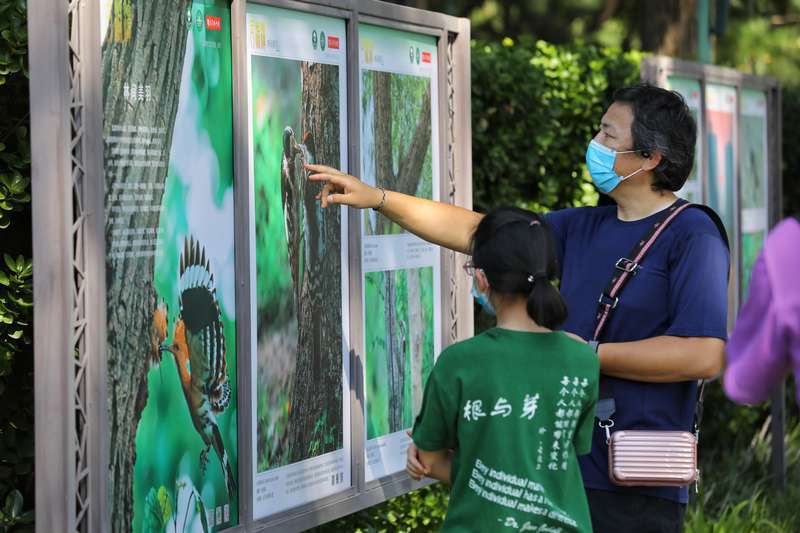北京玉渊潭公园|北京玉渊潭公园举办野生动物生态摄影展