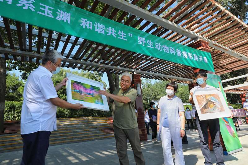 北京玉渊潭公园|北京玉渊潭公园举办野生动物生态摄影展