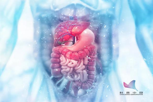 空腹|空腹到底是有多“空”？牛奶、香蕉不能空腹吃？看完一目了然