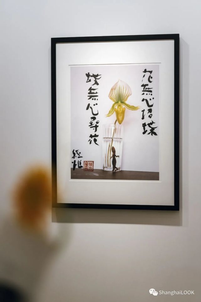 以花之名 25位国际艺术家参展 胡为一 蒲公英 以花之名 荒木经惟 李明维 蚕花 王菲 展览
