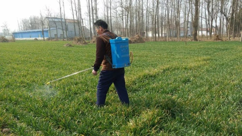 作者:华垦黑马,来自农业助手目前在果树上使用药剂还是较多的,能杀卵