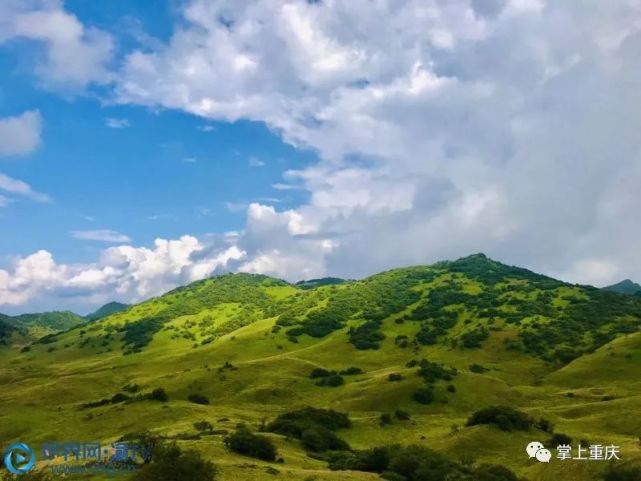 紅池壩國家森林公園吸引不少遊客前來消暑休閒,人們在高山草場間樂享