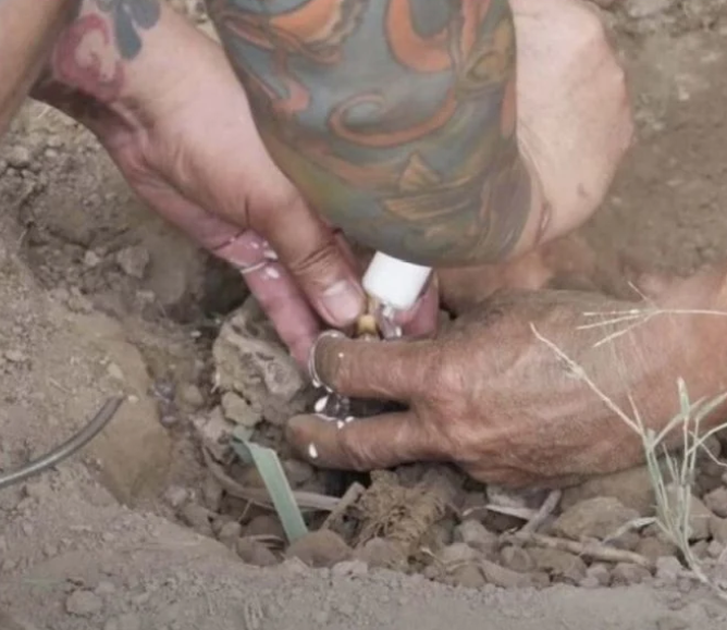 网红|网红美食博主把鸡活埋折磨两周做成烤鸡，或被罚款6万，判刑5年