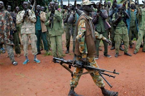 此国有100万枚地雷 人工排雷需4000年 非洲人用一动物轻松搞定 腾讯新闻