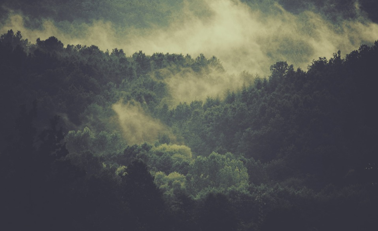 北魏·陆凯|史上最美的8首短诗，首首经典，谁读了都会心醉！