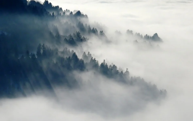 北魏·陆凯|史上最美的8首短诗，首首经典，谁读了都会心醉！