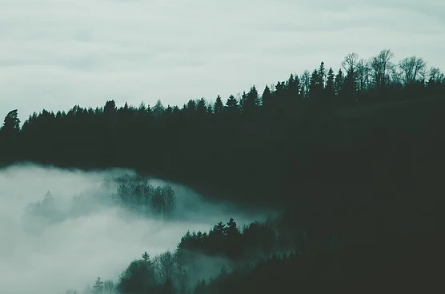 北魏·陆凯|史上最美的8首短诗，首首经典，谁读了都会心醉！