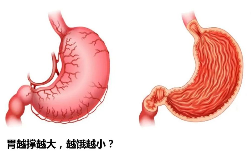 石墨烯|石墨烯内衣真的有那么神奇吗？别被商家的赚钱策略给迷惑了