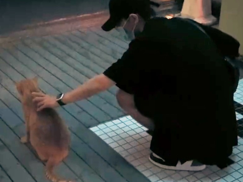 余生请多指教|肖战工作室更新日常，3个细节知道他过的还好，《余生》开始预热