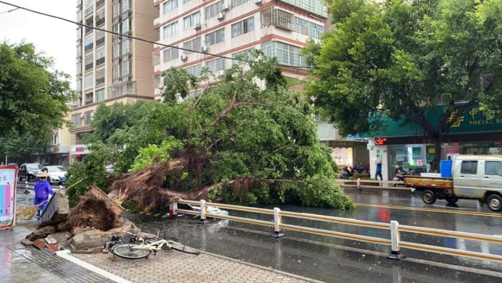 福建|直面风雨！“三个提前”让福建气象人“捉住”急台风！