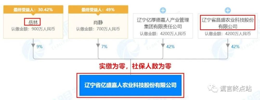 昌盛岳林上央视图片