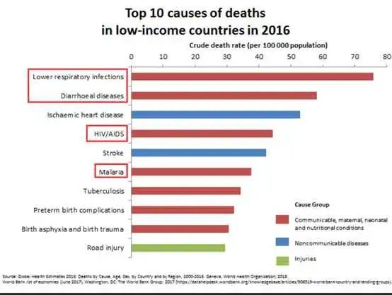 微生物|为什么人类要过滤水，动物却可以直接喝生水？