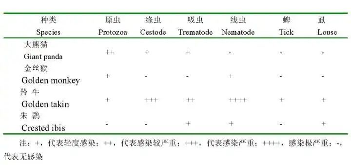微生物|为什么人类要过滤水，动物却可以直接喝生水？