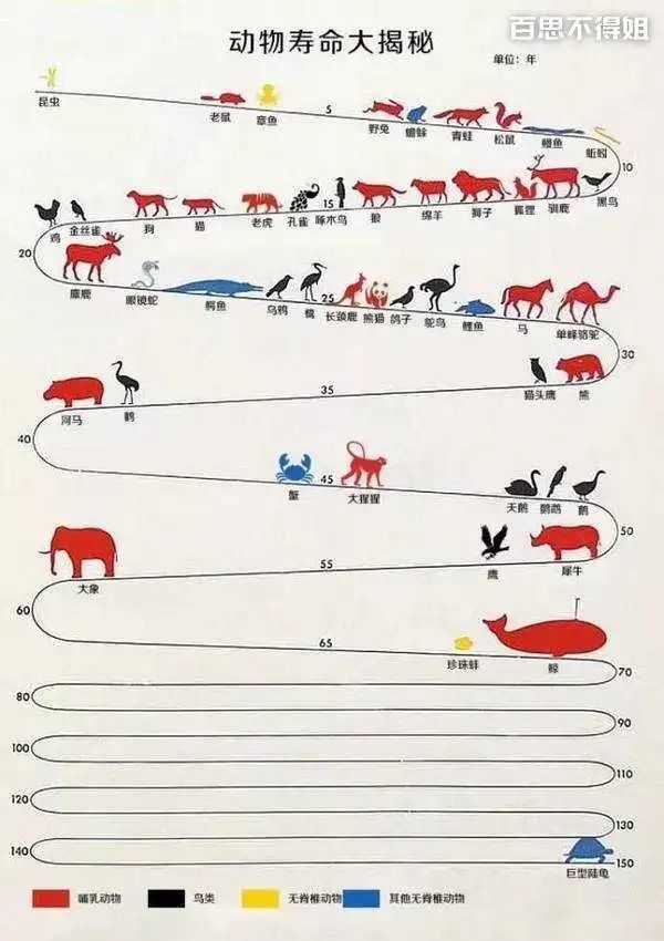 微生物|为什么人类要过滤水，动物却可以直接喝生水？