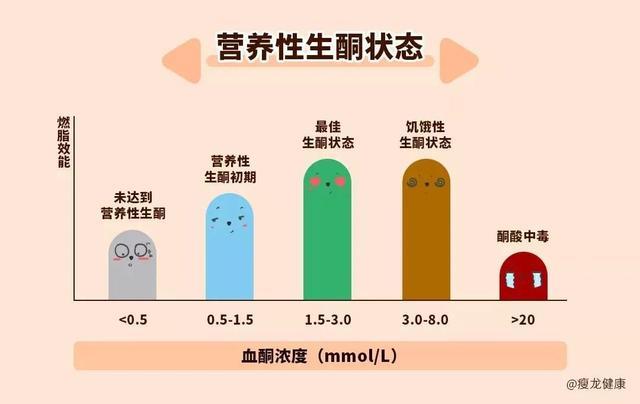 什么是酮体 我一直生酮 为什么酮体越来越低了 腾讯新闻