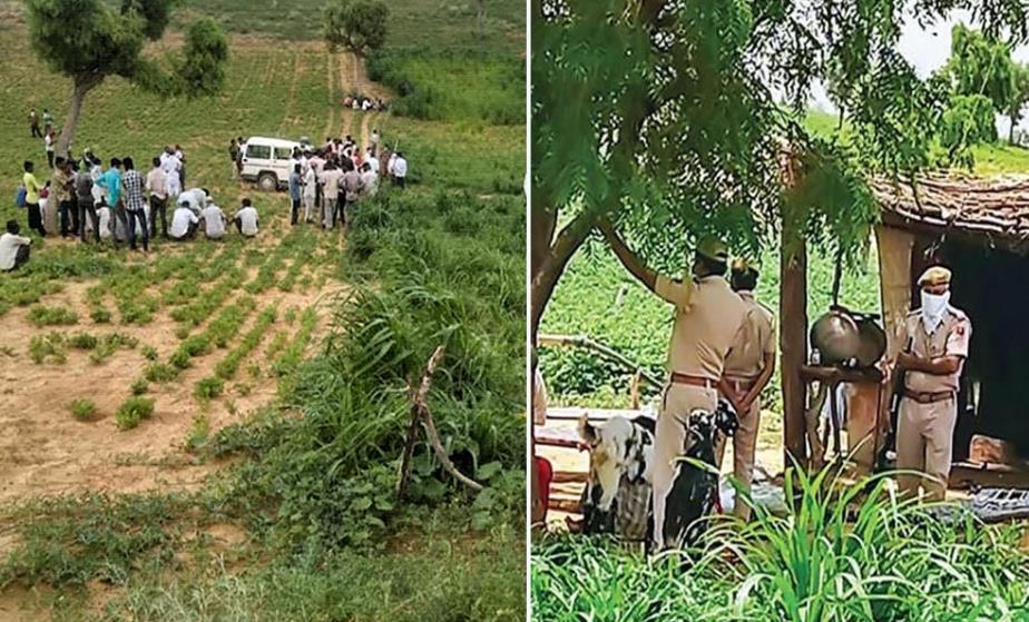 自杀|女护士给10名家人注射杀虫剂，将其全部杀害后自杀