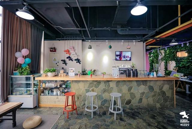 徐化|为抓马拍纪录片的导演说，抓马宝贝是一家奇怪的公司？