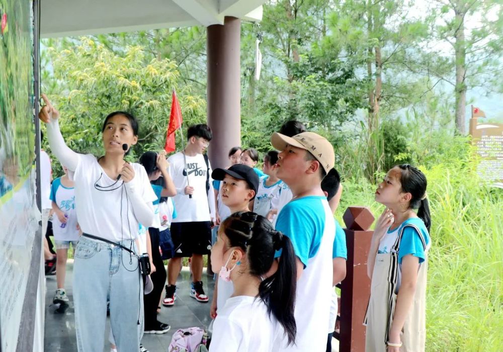 景寧開展煥新樂園愛國主題非遺體驗遊學活動