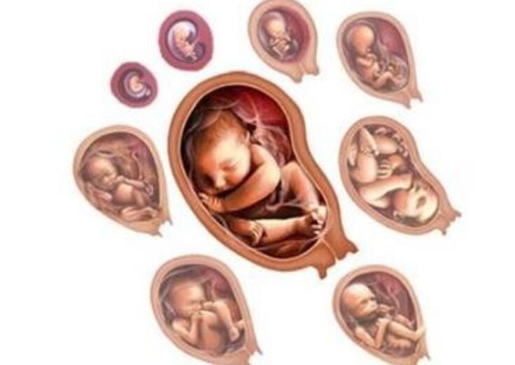 孕36周有两个重要检查,是胎儿平安出生的关键,孕妇