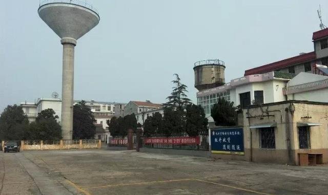 湖北应城一小吃很"无奈",看着没食欲,吃起来3个都不够