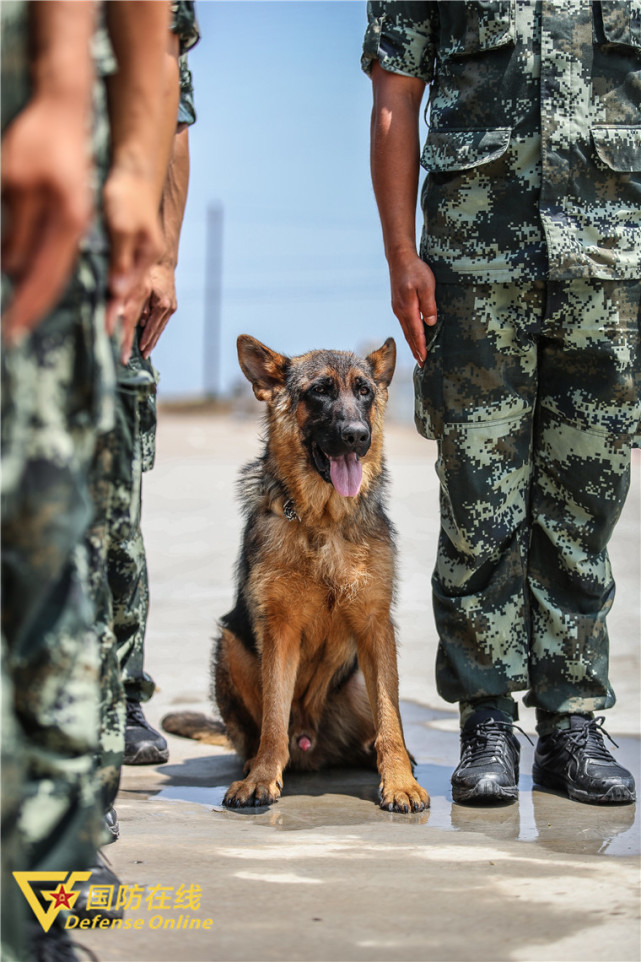 与海风为伴与盐碱同行这就是南堡盐场守卫兵的日常