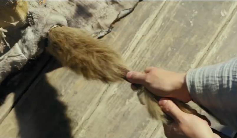 李现|李现新电影《赤狐书生》定档11月，和陈立农搭档，化身小狐妖