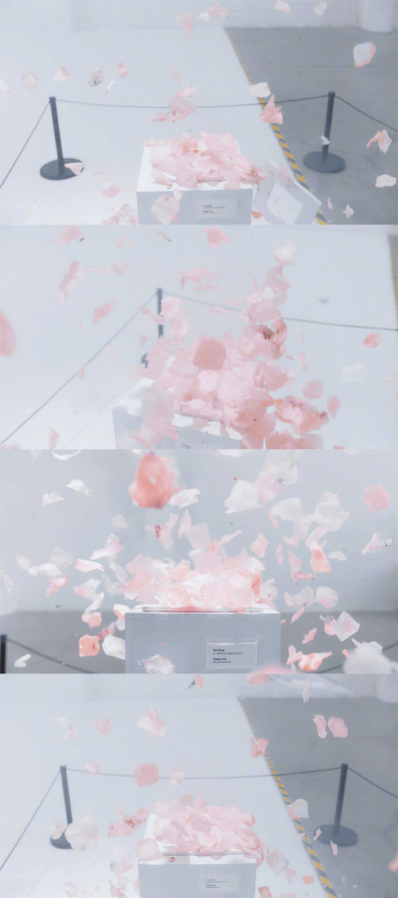 王源|王源最新mv有爆破环节！导演爆料拍摄细节，粉丝担心又敬佩