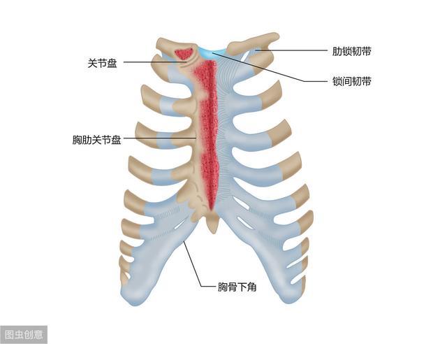 胸痛一定是心脏疾病 不要忽略了胸外科这种常见病 胸痛 心脏疾病 非特异性肋软骨炎 肋软骨