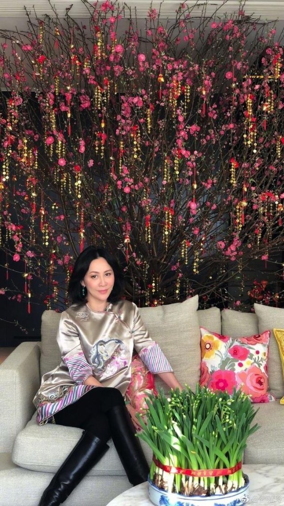 刘嘉玲|刘嘉玲夫妇持13亿物业，遍及上海、苏州和香港，因张国荣拒卖豪宅