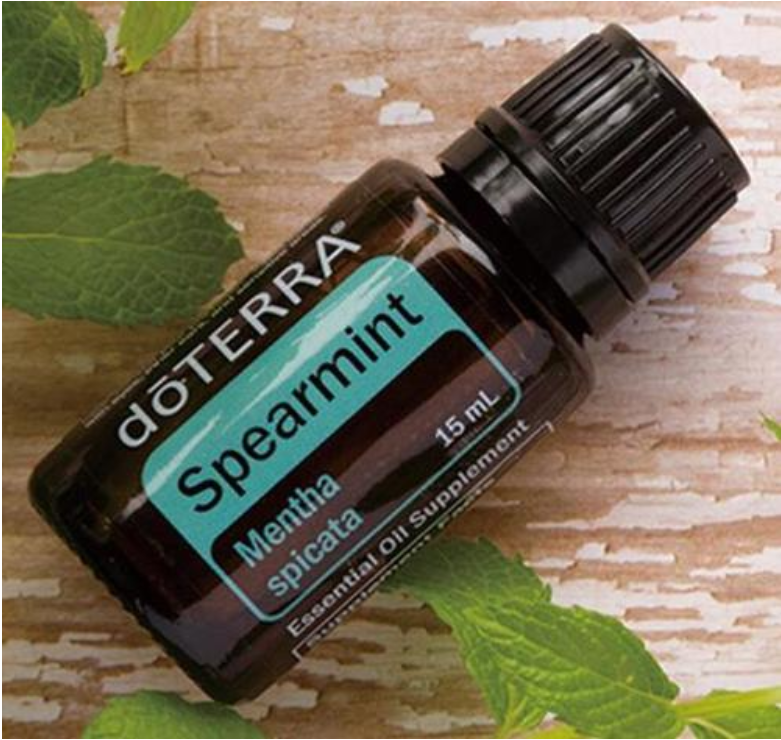 绿薄荷精油:让生活充满绿色,孩子也能用的薄荷