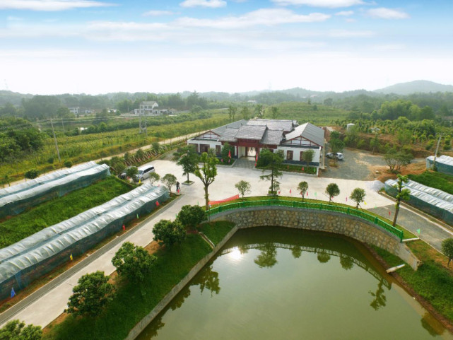 葡萄成熟季 采摘正当时|长沙县青山铺镇葡萄采摘攻略来了