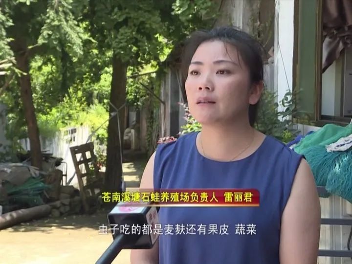 苍南女子养了一种 宝贝 每斤能卖150 180元 腾讯新闻