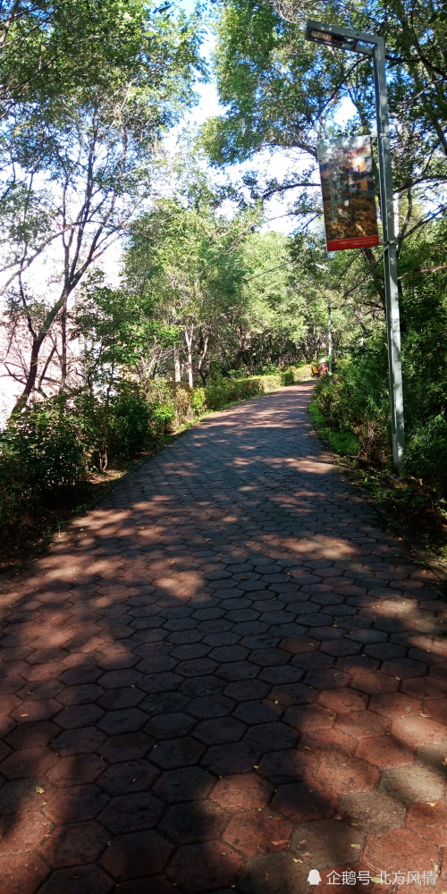 黑龙江省双鸭山市翠峰山环路