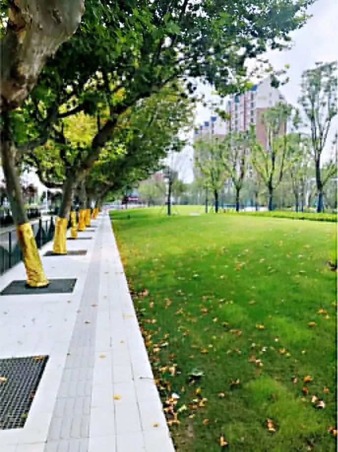 美江阴城西冒出大片绿地