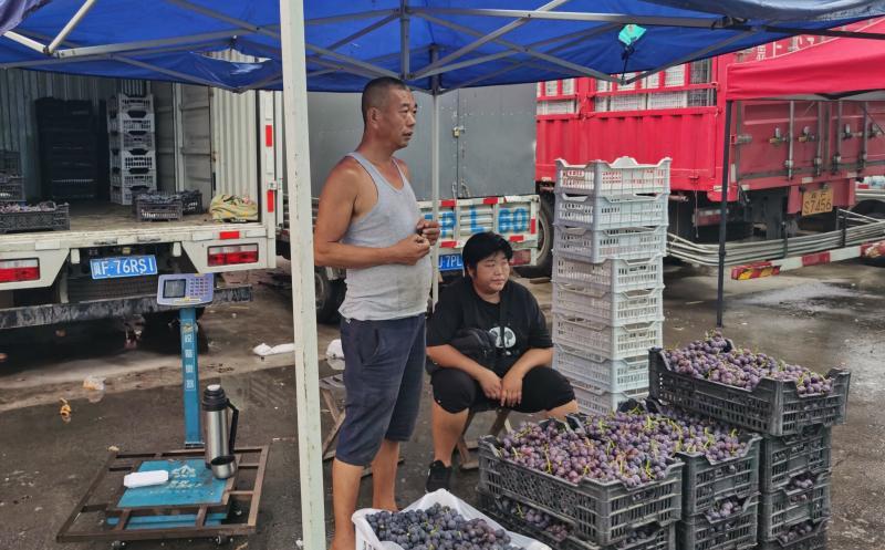 北京新发地|北京新发地一分为二，河北市场迎来短暂的春天？