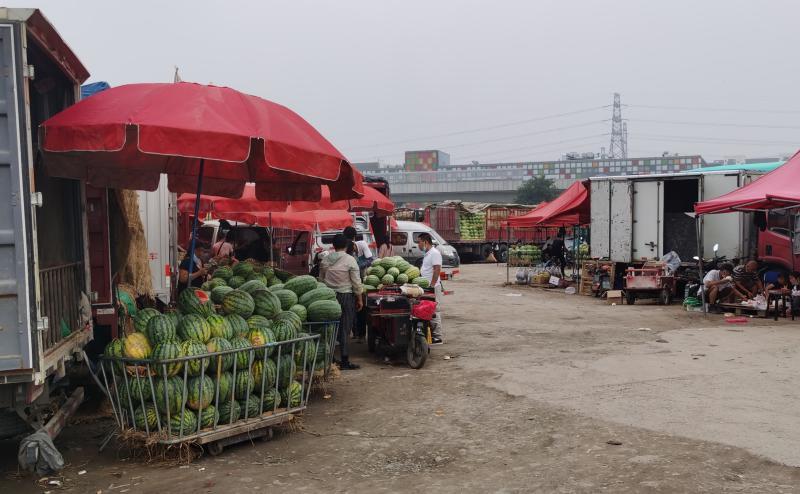 北京新发地|北京新发地一分为二，河北市场迎来短暂的春天？